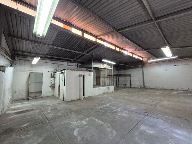 Foto de la galeria de imagenes